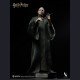INART - Voldemort - Harry Potter and the Deathly Hallows