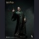 INART - Voldemort - Harry Potter and the Deathly Hallows