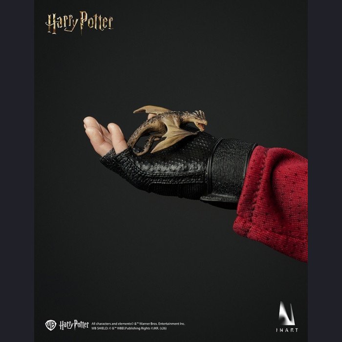 INART - Harry Potter - Harry Potter and the Goblet of Fire