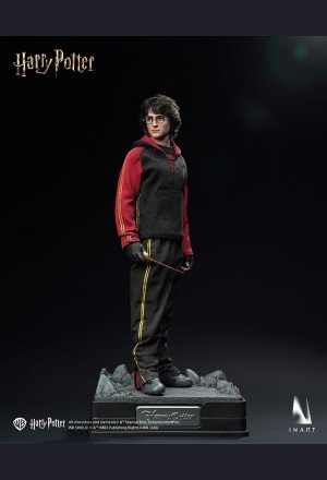 INART - Harry Potter - Harry Potter and the Goblet of Fire