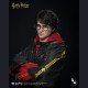 INART - Harry Potter - Harry Potter and the Goblet of Fire