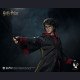 INART - Harry Potter - Harry Potter and the Goblet of Fire