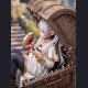 Cinderella Studio - Frieren - Frieren: Beyond Journey's End