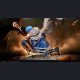 Qinghe Studio - Frieren - Frieren: Beyond Journey's End