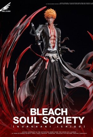 Time Studio - Ichigo Kurosaki - Bleach