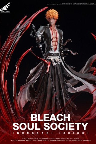 Time Studio - Ichigo Kurosaki - Bleach