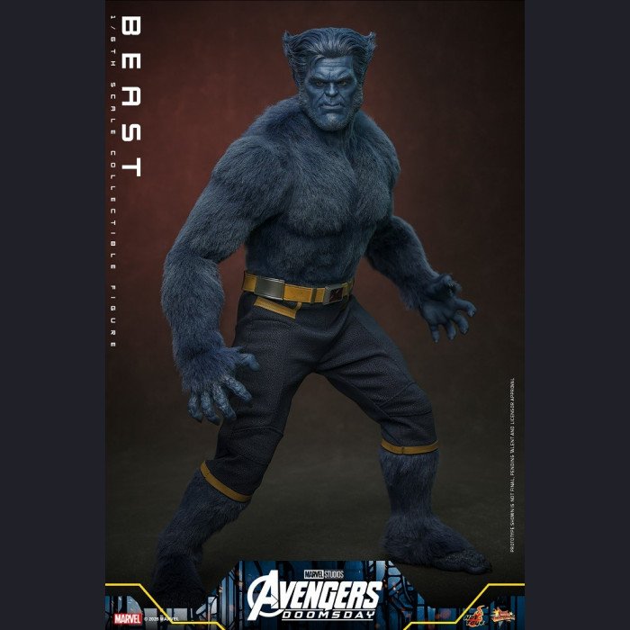 Hot Toys - Beast - Avengers 5