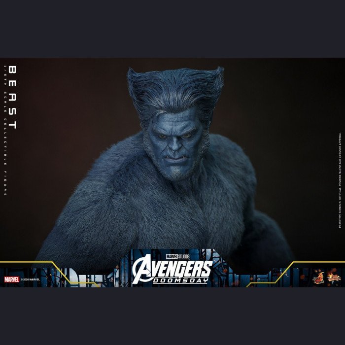 Hot Toys - Beast - Avengers 5