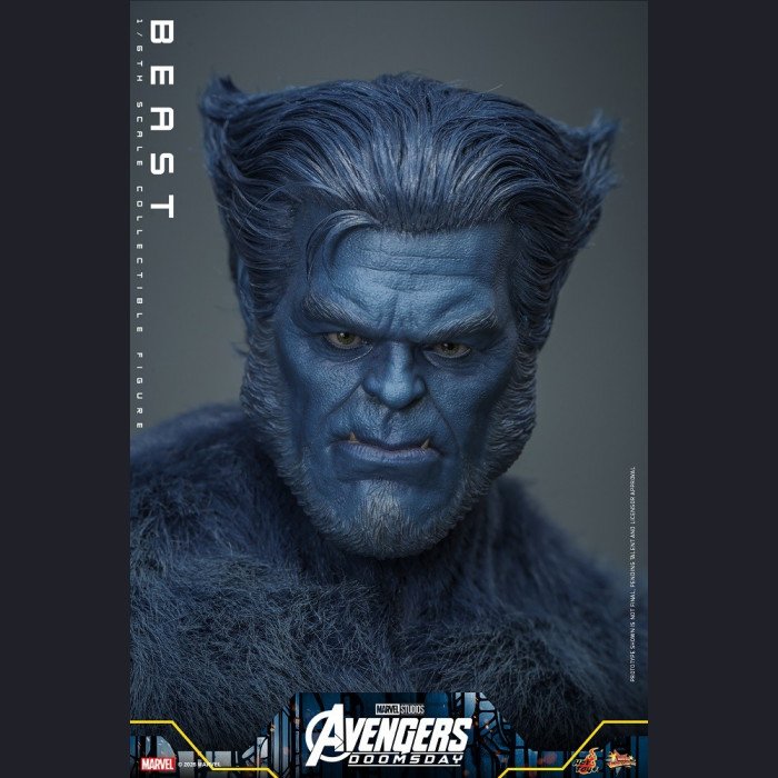 Hot Toys - Beast - Avengers 5