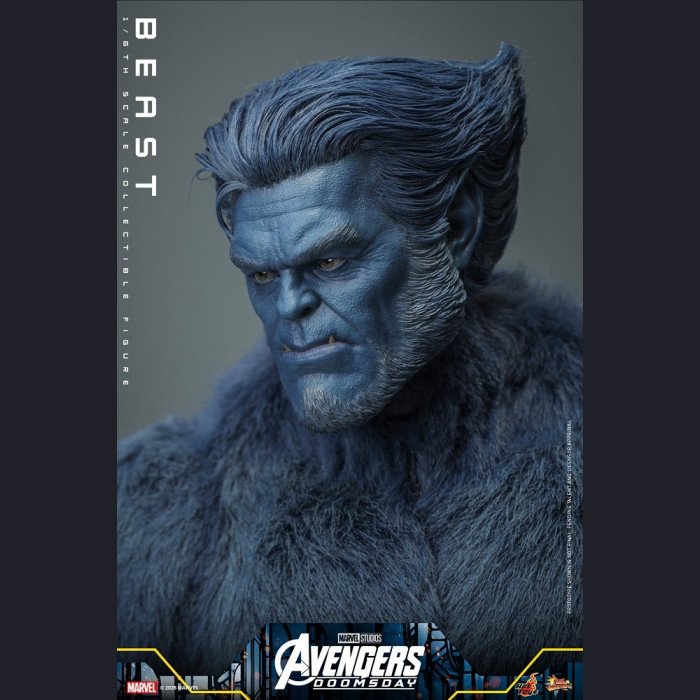 Hot Toys - Beast - Avengers 5