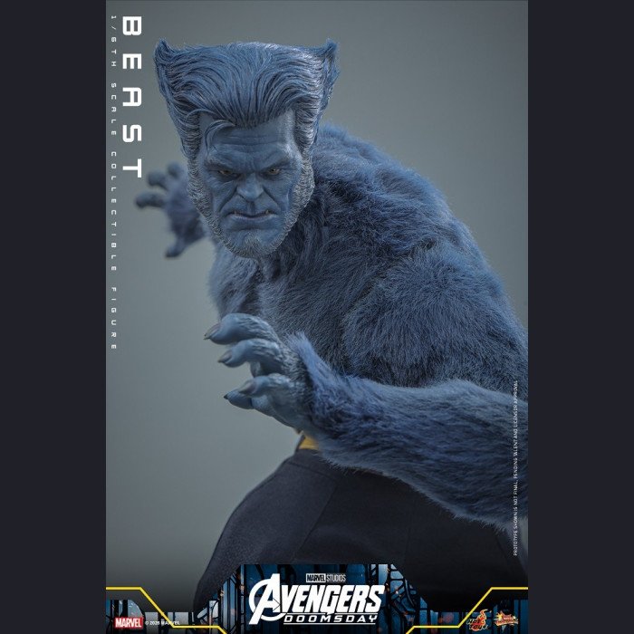 Hot Toys - Beast - Avengers 5