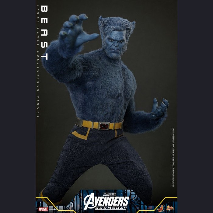Hot Toys - Beast - Avengers 5