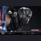 Prime 1 Studio - Ryu Hayabusa - Ninja Gaiden 4