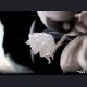27Abyss Studio - Hornet&The Knight - Hollow Knight: Silksong - Redemption